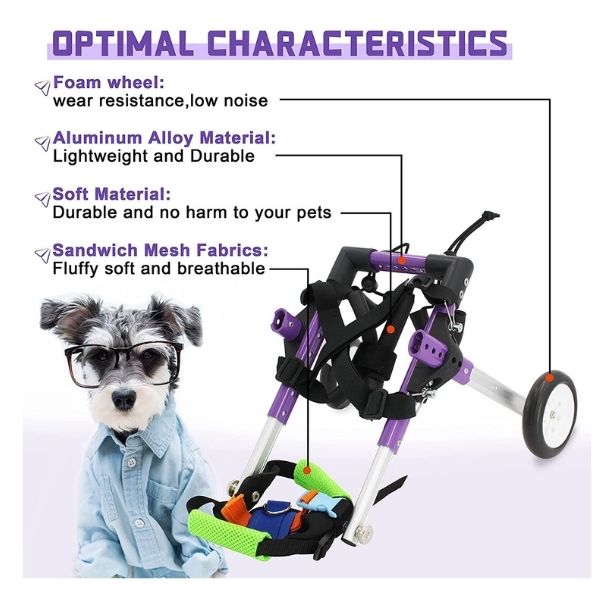 5 Best Wheelchair For Dogs [2023]
