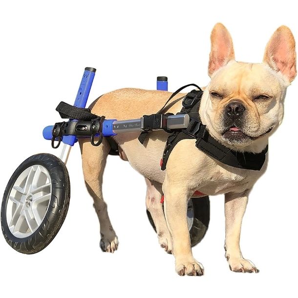Lightweight Wheelchair For Small Dogs.