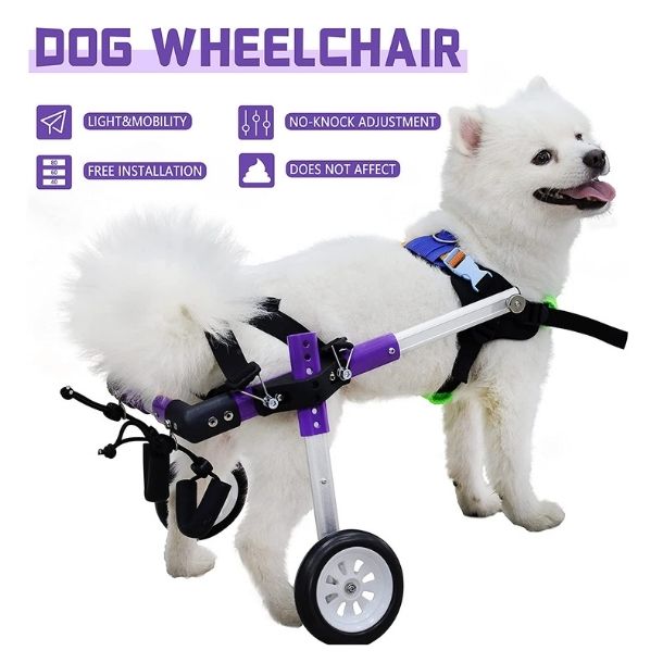 Wheelchair For Dog By HeoBam